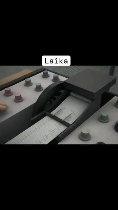 Laika the Space Dog (1957, USSR).