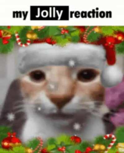 Last week till christmas🎄🧑‍🎄