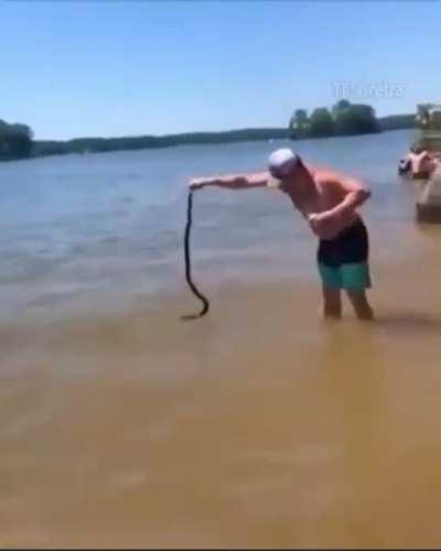 Flying danger noodle makes a scene