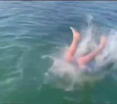 We catch on live bait