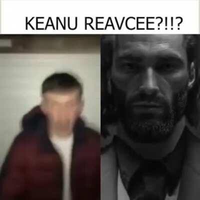 wholesome 46 nigga sex halal nigga reaves😂🤣😂🤣كيانو ريفز الجنس نيغا 😡🤬