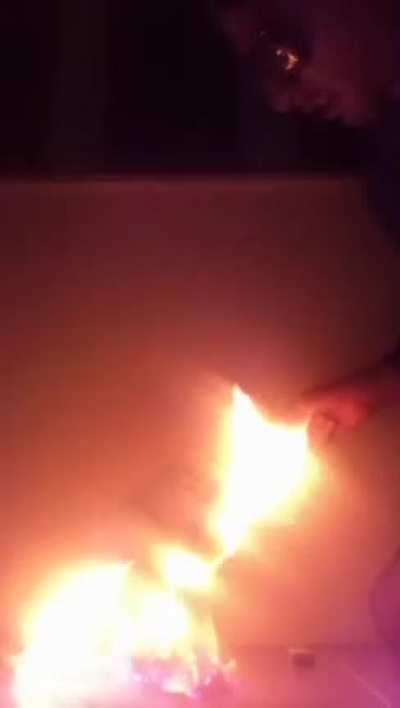 Arkadaşlar bu ben nasılım 😎🖕