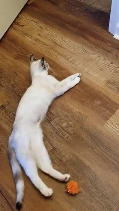 She yells at me when I dont throw the ball fast enough