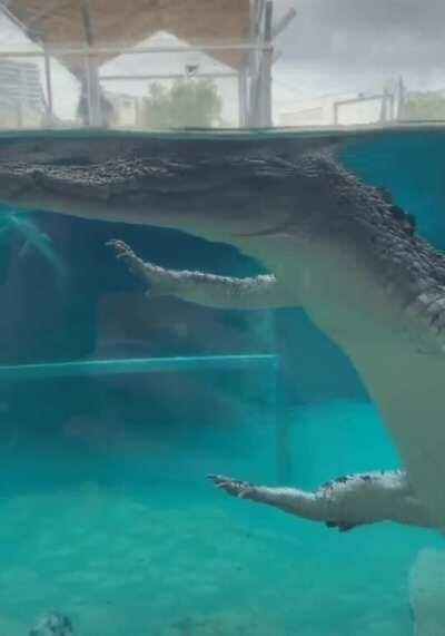 This 2500 pounds of monstrosity