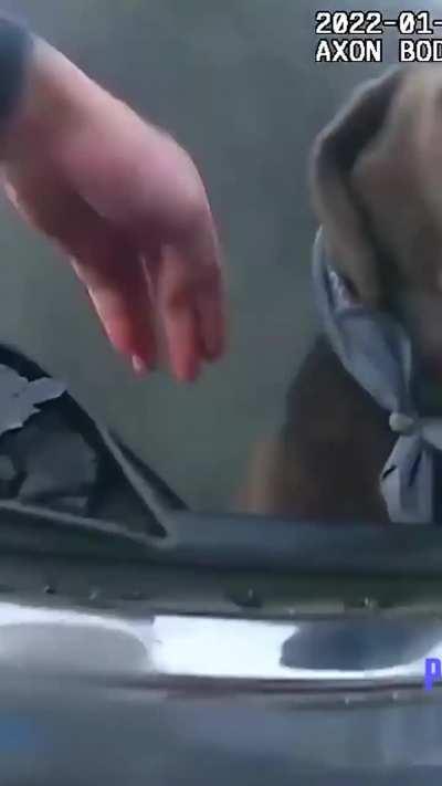 Cop saved the dog from a burning car