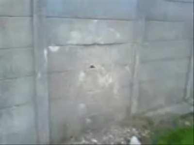 Teen tries to kick a hole in a concrete wall. What could possibly go wrong?