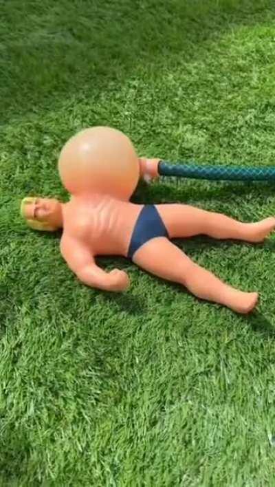 The amount of water that Stretch Armstrong can Hold 