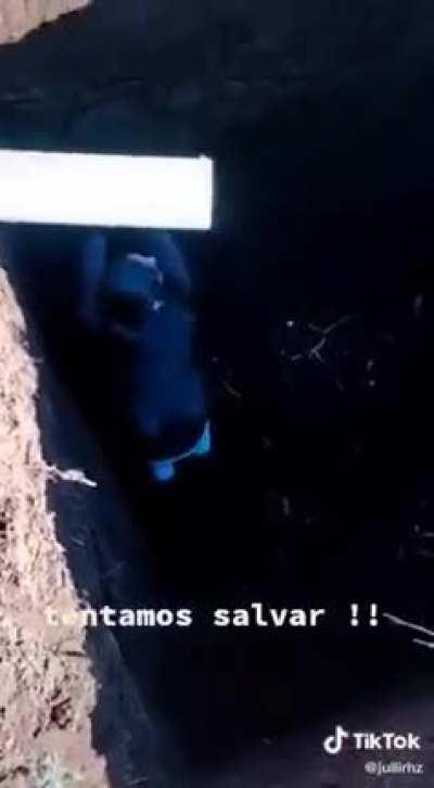 Rescuing an animal who fell in the hole