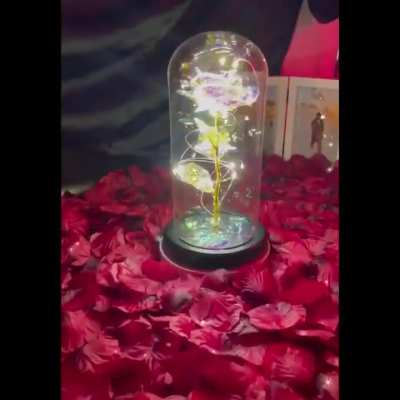 The Perfect Valentine's Day  Gift.