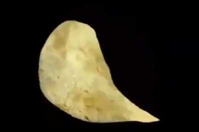 *le dice un dato curioso de Albert Einstein*