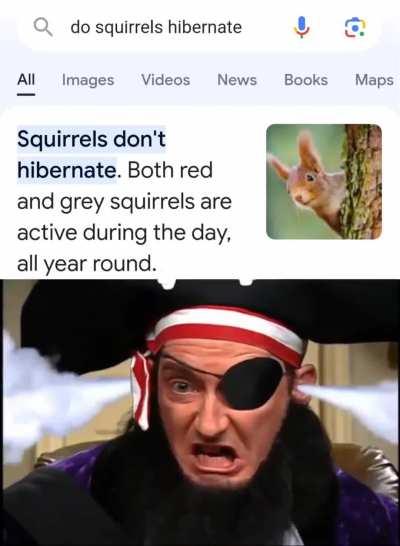 Squirrels don't actually hibernate 