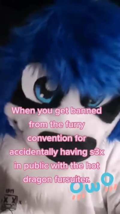 furry_irl