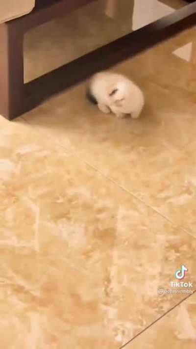 I know jeany would like this