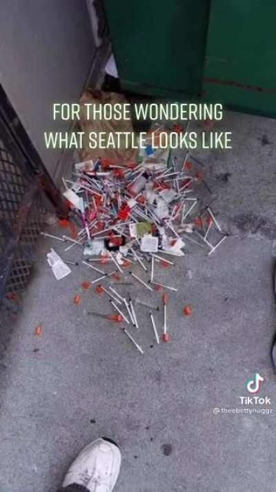 For those wondering what Seattle looks like