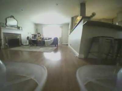 Drone gets taken down by surprise attack