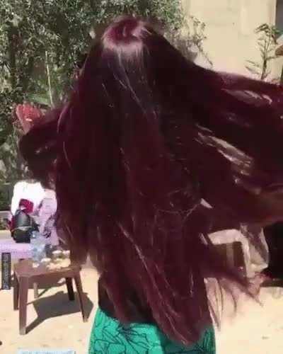 Burgundy Bun Drop [GIF]