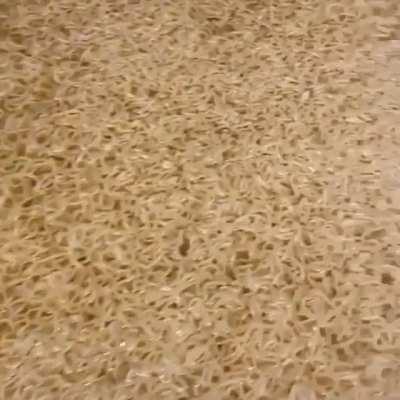 The fuck... Spaghetti bath, it's insane but also waste of food!