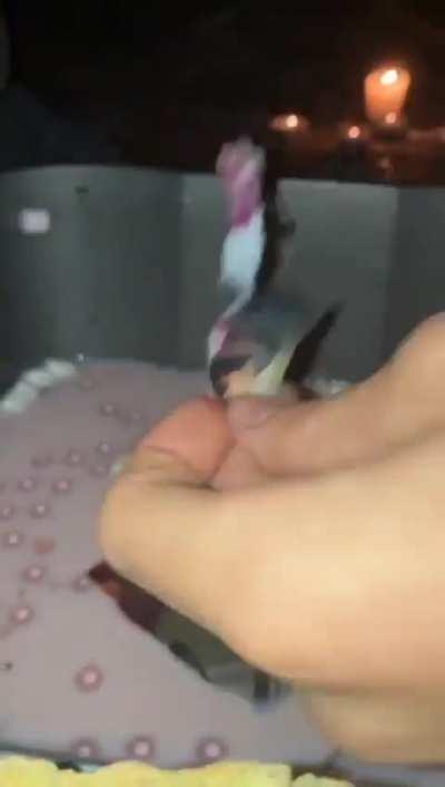 Jerma potion footage 