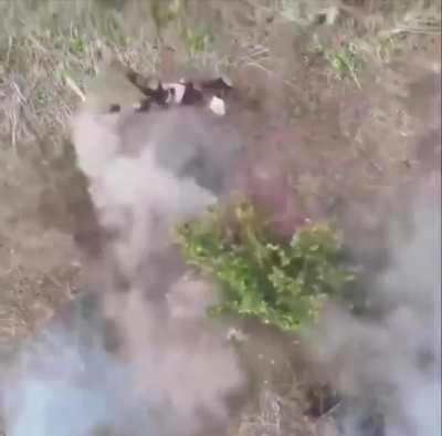 russian turned into hamburger meat