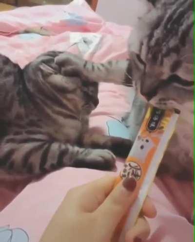 He is definitely not the sharing type