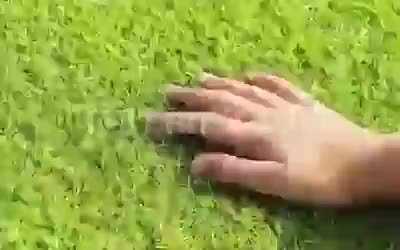 This is what people need to do