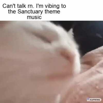 Sanctuary music do be a banger tho 😫