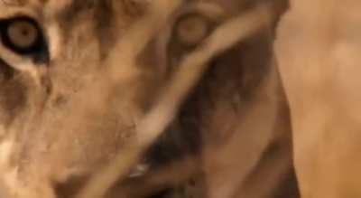 Do your beliefs align with the desires of your soul