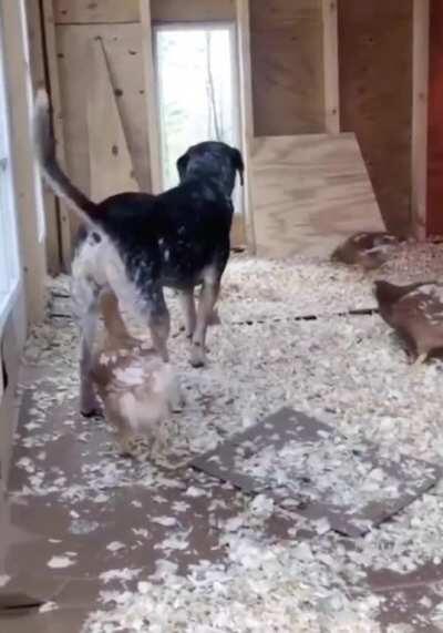 exCUSE ME that is for SNIFFING ONLY