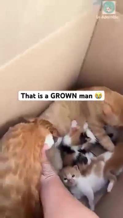 Shameless wunkus slowly blinking his way out of it.