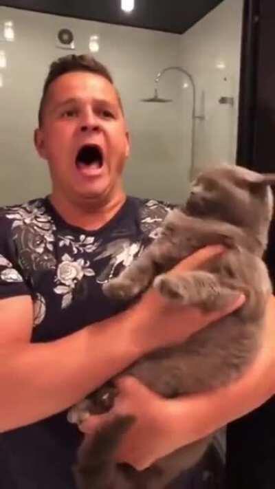 How dare you hiss at me, cat!