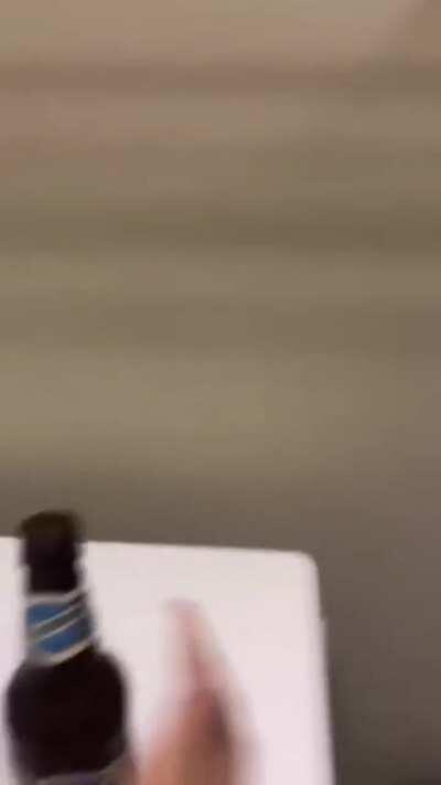 Yesyesyesno... dog is so clever