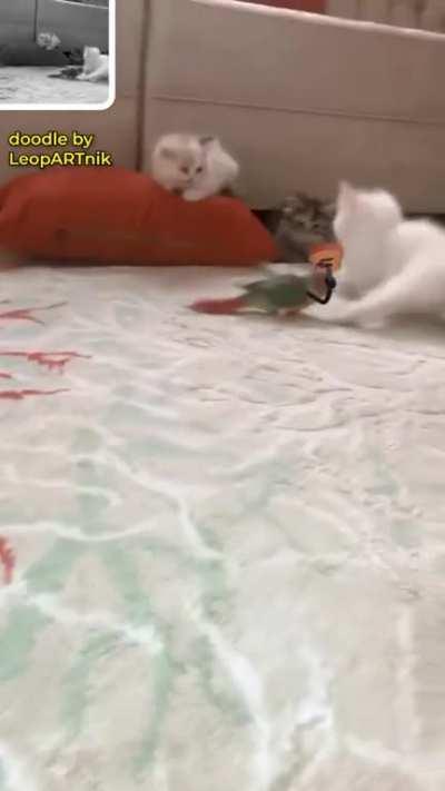 Never provoke a guitarist