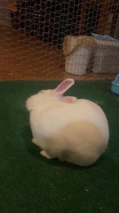 Nothin like a good clean-n-flop