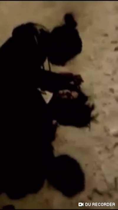 The humiliation in being sat on, with her crotch in her face, talked to like a bitch, laughed at and slapped by her opponent in front of a crowd