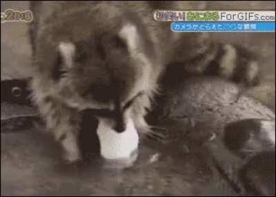 What accidentally running past the exit when trying to sacrifice a dog feels like