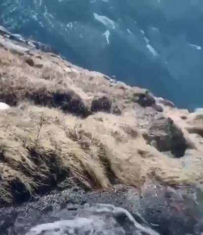 Ice cold water from Lofoten, Norway