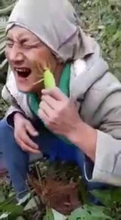 Смотри как могу