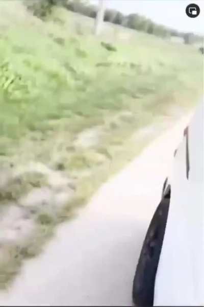 Somebody Needs To Take Her License Away