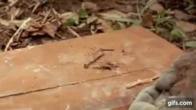 Me showing my financial adviser how I do my dd after GME and AMC gains