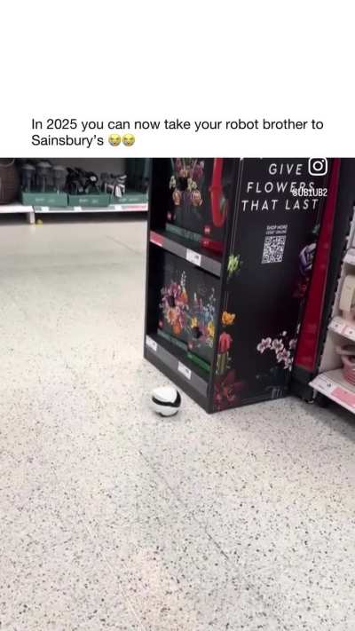 wheatley in sainsburys