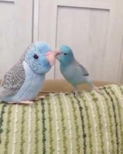 I am talking to you!