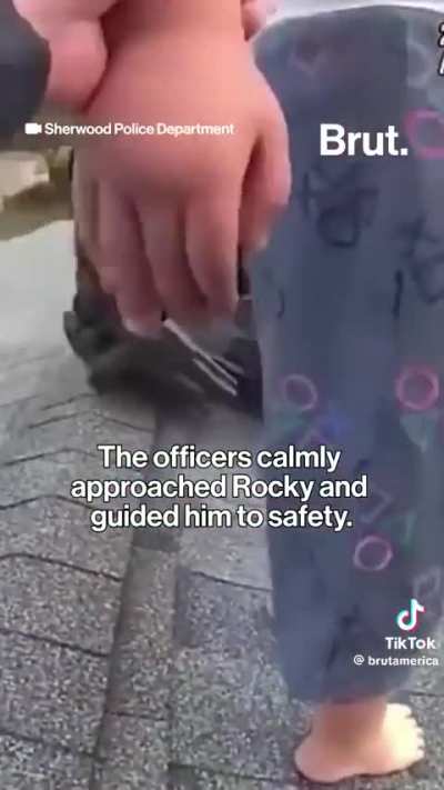 Oregon police rescued a nonverbal child with autism from the roof of his house