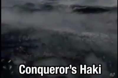 Buggy the Lord + marineford