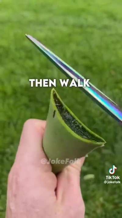 Lmao this dead ass how drake be😭