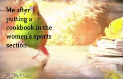 run before they catch you