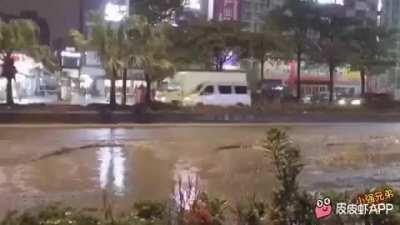 The way the cars hop