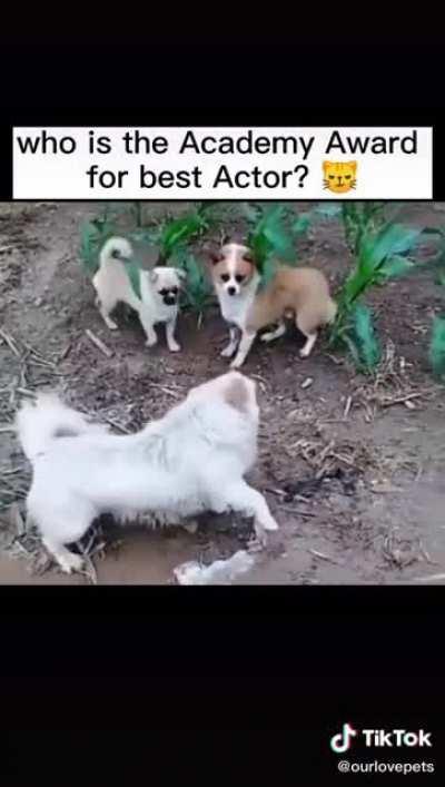 An the award 🥇 goes to.....