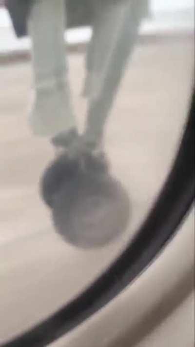 Fly low budget Airlines they say