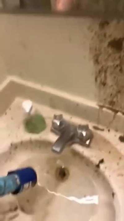 Well, it worked didn't it?