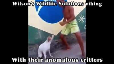 Epic win moments: GOI Edition